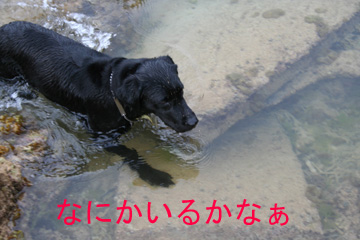 4_海02