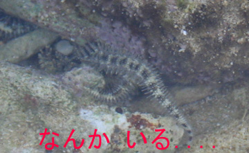 5_海03