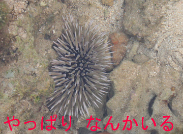 6_海04