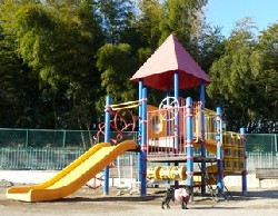 ジャングルジム