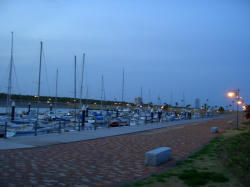 sun    beach.jpg