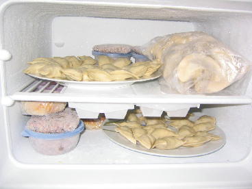 gyoza in freezer