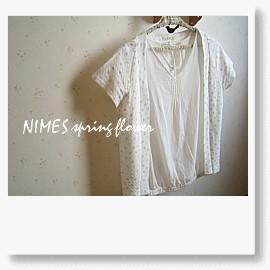 NIMES spring flower.jpg