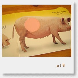 touch,feel and say pig.jpg