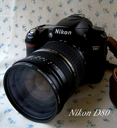 Nikon D80.png