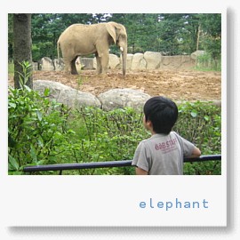 動物園　象.jpg