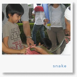 動物園　蛇.jpg