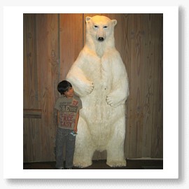 動物園　hayaと北極熊.jpg