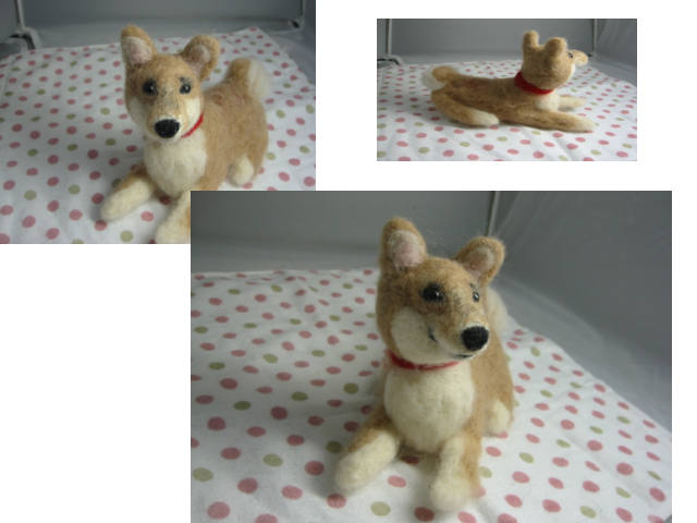 柴犬ちゃん。