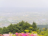 森林つつじ公園