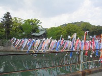 こいのぼり