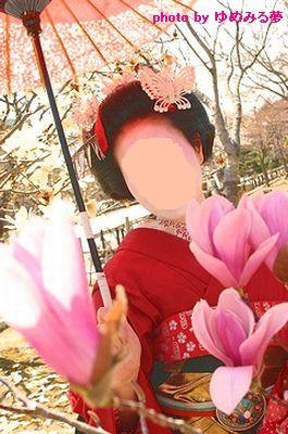 画像 197h.jpg