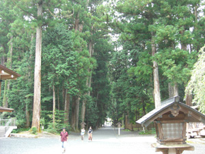 小国神社.jpg