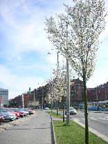 コピー ～ DSCN2598.JPG