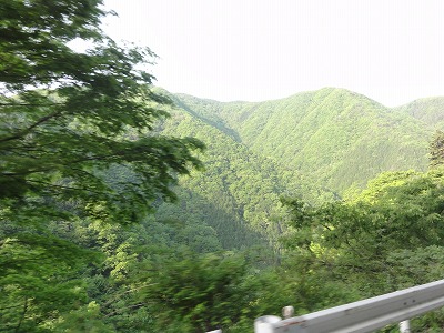 2011.05.21_06.12.28.jpg