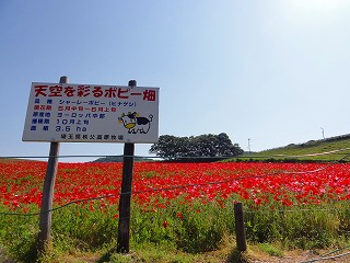 2010.06.04-08.40.40.jpg