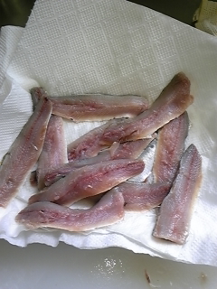 2009-06-19 22:08:35