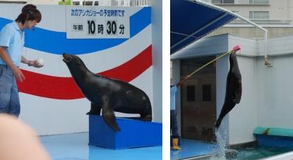 竹島水族館３