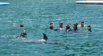 下田海中水族館　４