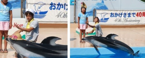 下田海中水族館　14