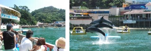 下田海中水族館　５