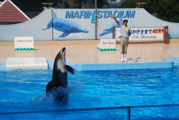 下田海中水族館　16