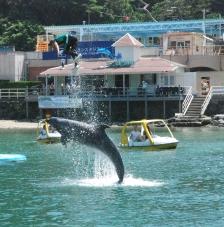 下田海中水族館　６