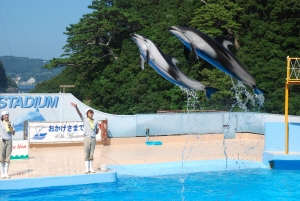 下田海中水族館　15