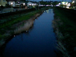 080411_1831~0001-2.jpg