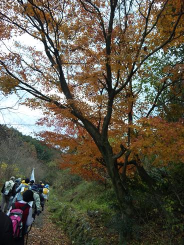 まんのう公園 歩こう会.JPG