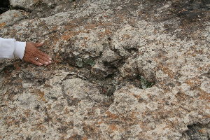 torotoro pequeno.jpg