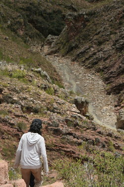 torotoro2 return.jpg