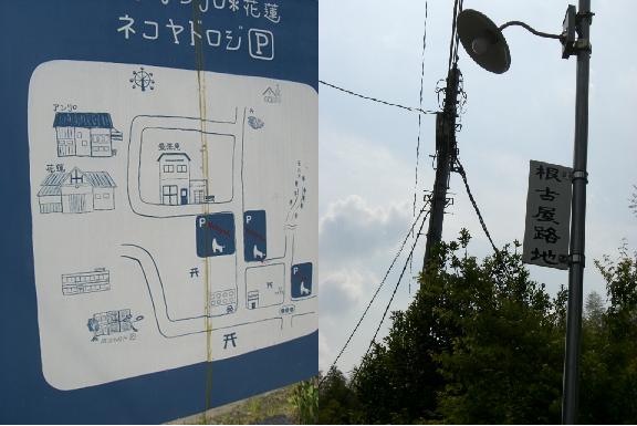 ねこやどへ2.JPG