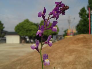 ブログ用 434.jpg