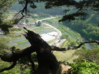 「山」からの景色