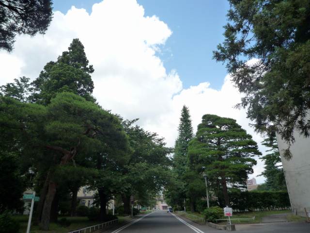 東北大学の門をくぐると♪