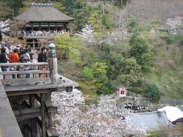 清水の舞台と桜