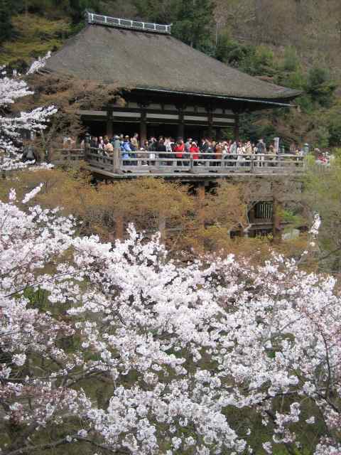 清水の舞台から奥の院をのぞむ