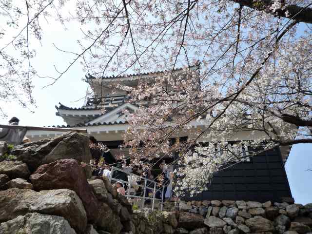 浜松城全景