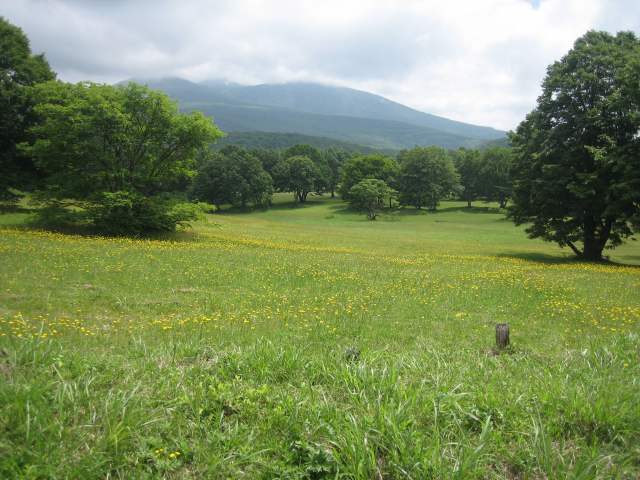 八甲田の平原