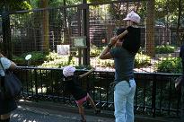 次女ちゃん、「パパー、あたしもかたぐるまして～」♪