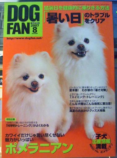 ＤＯＧＦＡＮ８月号