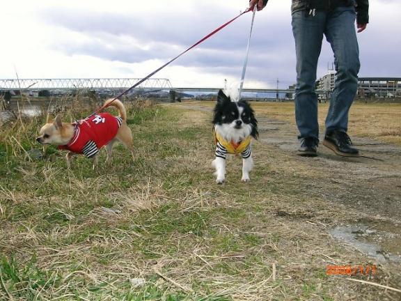 ヤマト＆ローリー