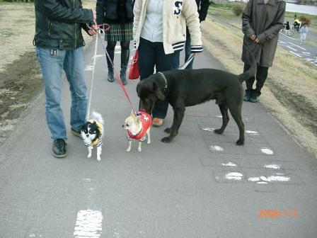 みんなで正月散歩