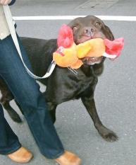 テイク空ちゃん