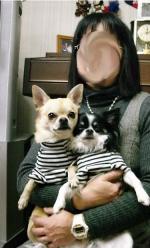 私とヤマト＆ローリー