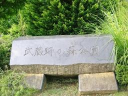 武蔵野の森公園