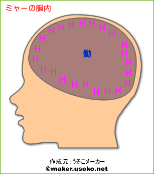 ミャーの脳の中