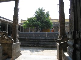 100320.kanchipuram2.jpg