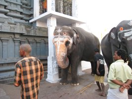 100320.kanchipuram4.jpg